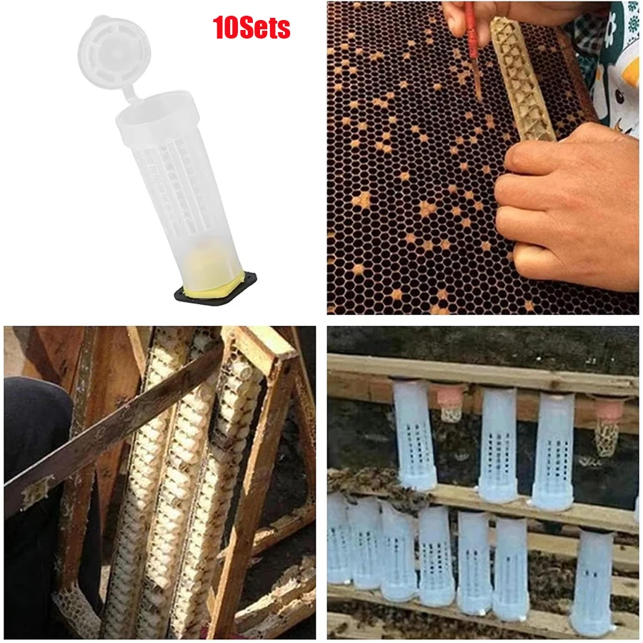 

10 Sets Queen Bee Roller Cages Beekeeping Rearing Cup Kit Bee Queen Cages Roller Beekeeper Equipment