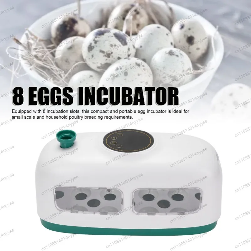 8 Eggs Chicken Incubator Incubator for Hatching Eggs Automatic Temperature Control Portable for Chicken Quail Duck Goose