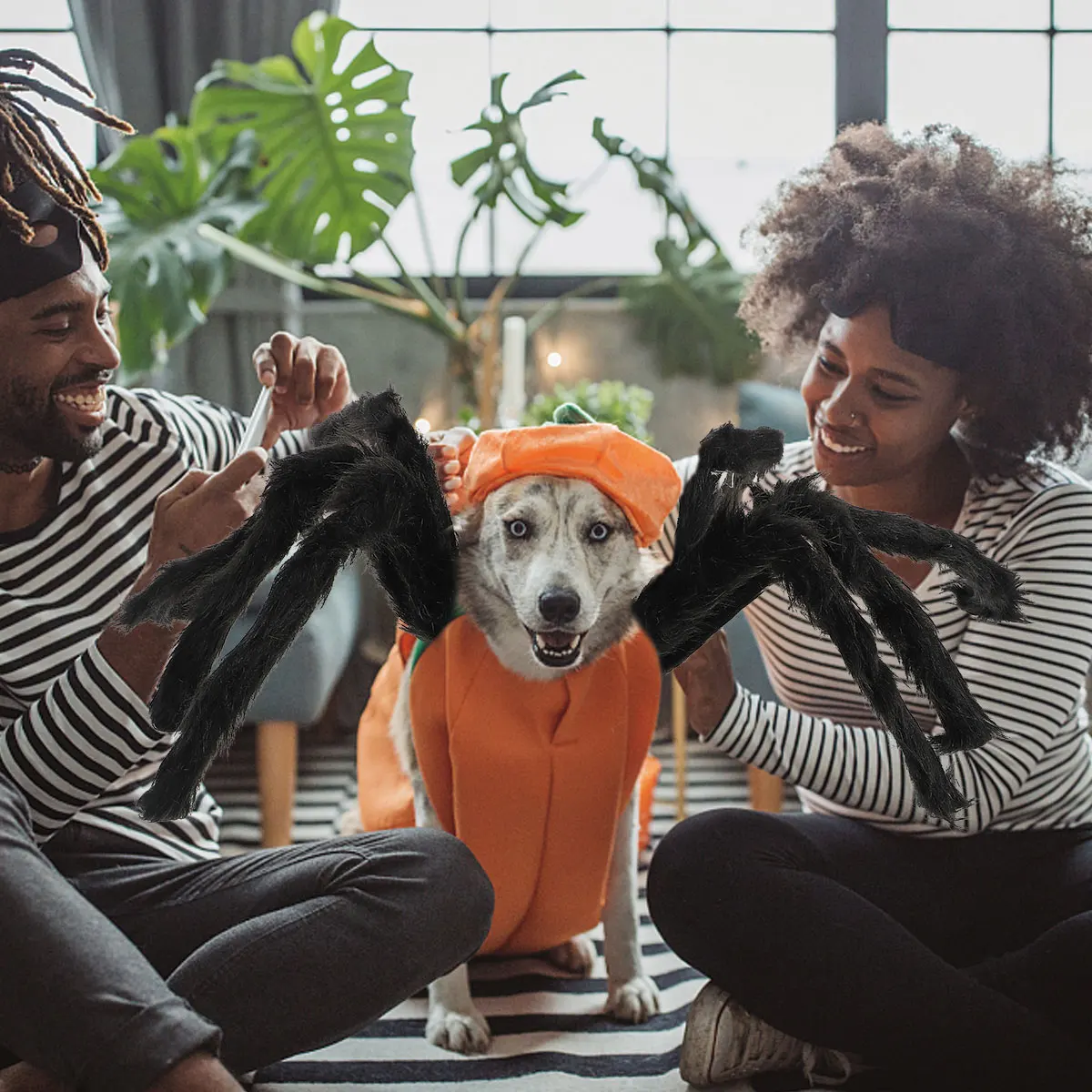 

Black Spider Costume 8 Legs Halloween Dog Clothes Large Props Dog Apparel Pet Decorations Pet Supplies