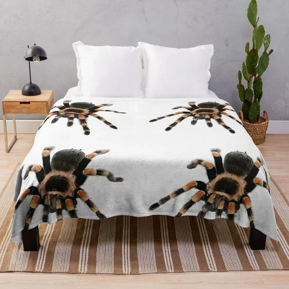 little spider, tarantula, spider Throw Blanket