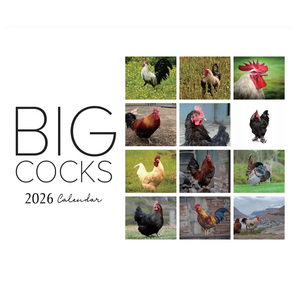 Divertente calendario 2026 Big Cocks, fotografia vibrante della fauna selvatica, calendario da parete da 12 mesi, decorazione per ufficio e casa