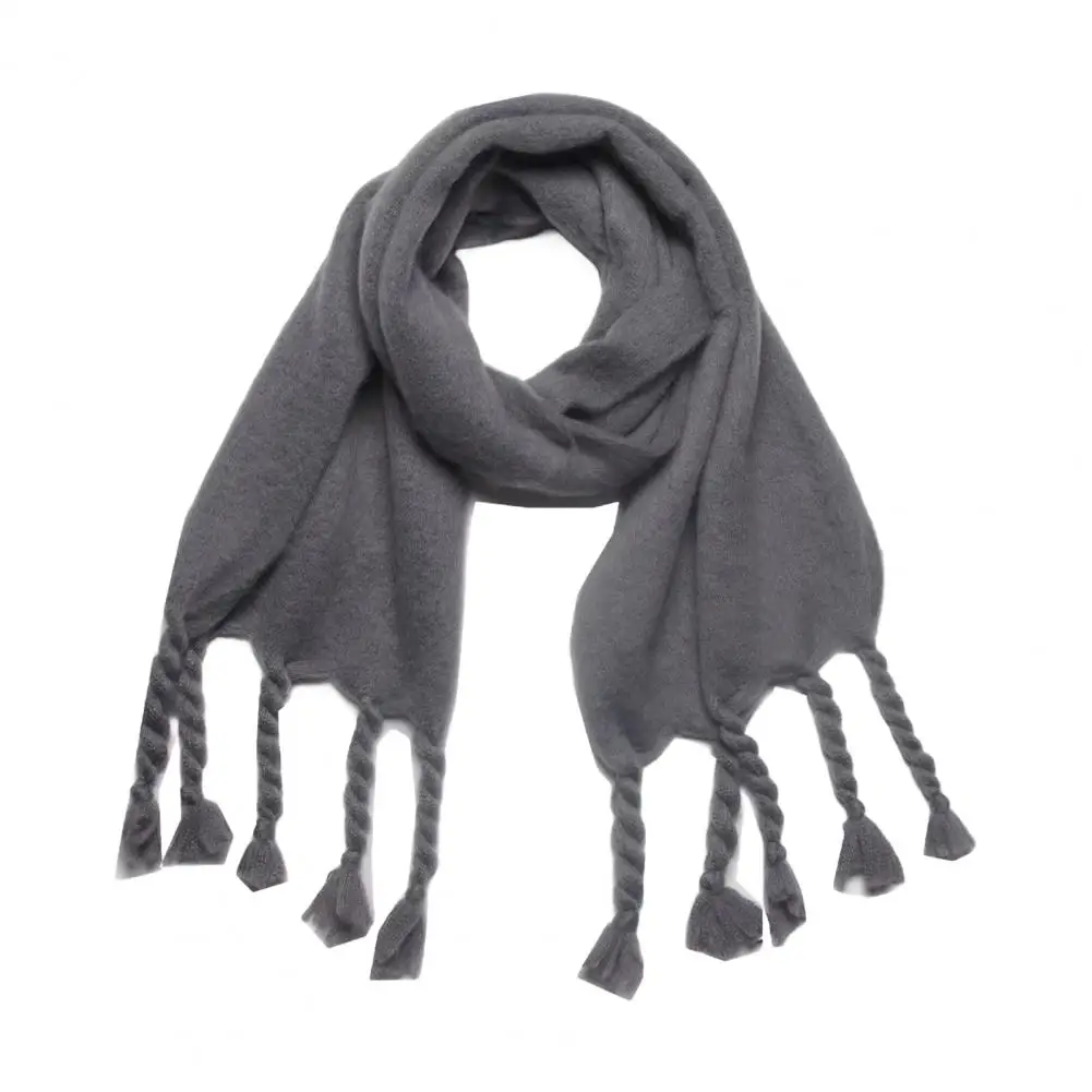 Dames Winter Sjaal Dikke Warme Sjaal Met Kwastjes Veelzijdige Effen Kleur Pashmina Voor Outdoor Fietsen Dagelijks Gebruik Deken Foulard