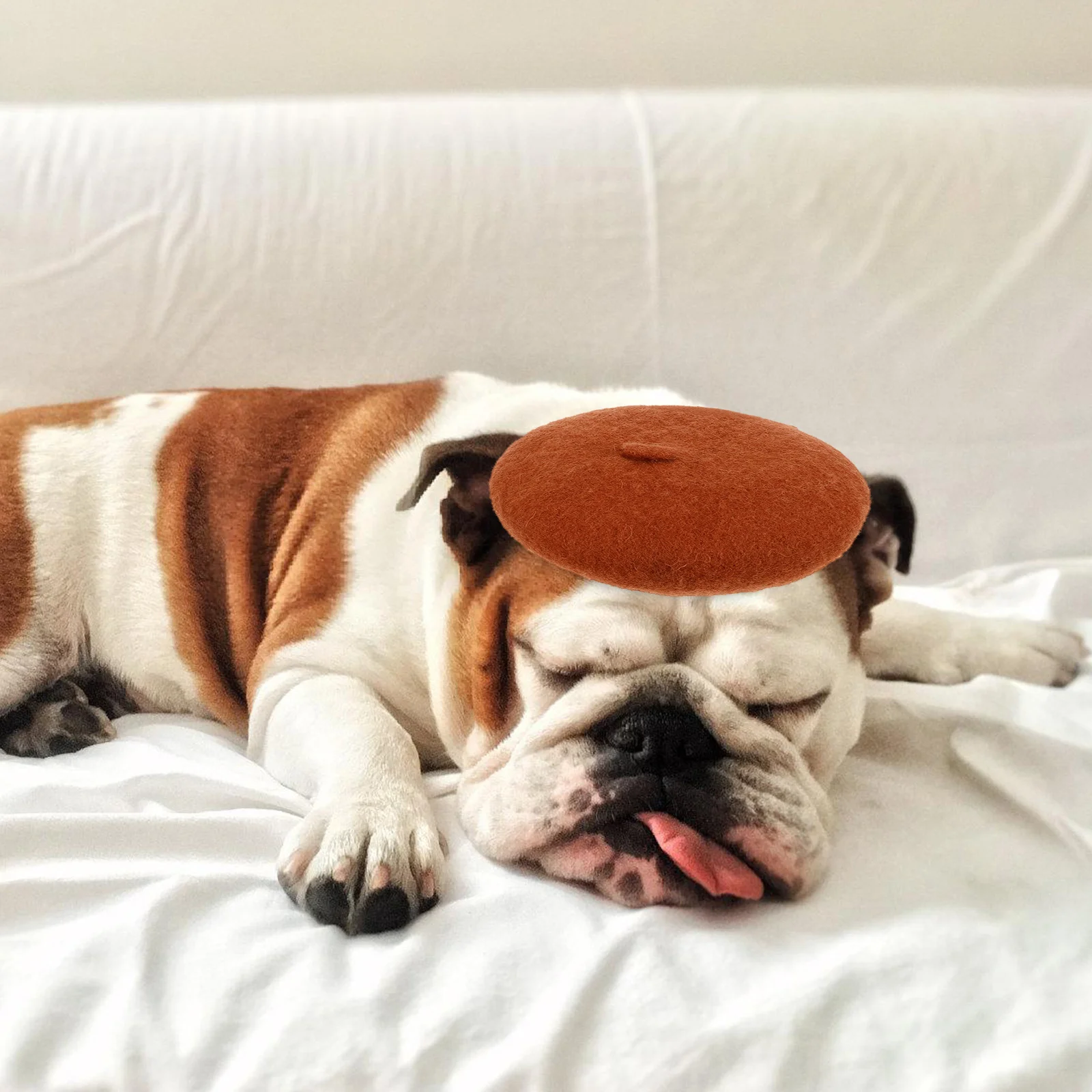 

Pet Hat Cute Birthday Party Dog Cap Beret Pet Costume Headwear Cat Hat Lovely Party Accessory Cartoon Dog Cap Cat Headdress