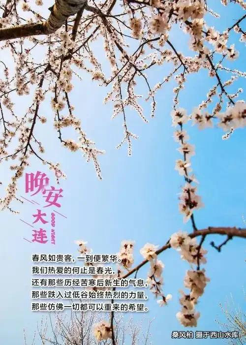 

For TRX 1/10 MAXX2.0 #89086-4 Nylon Small X Dust Cover Protector RC Car Accessories