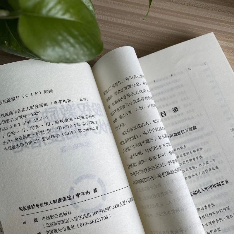 Come realizzare eccezionali i dipendenti Shareholders attraverso l'implementazione delle incentive dell'equità e del sistema di partner