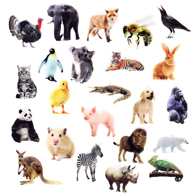 4PCS Animal Acrylic…