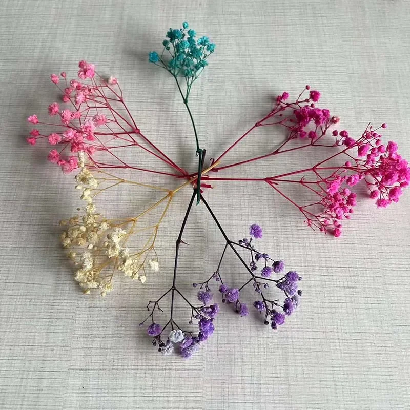 5~12CM /30PC Real Dried Babys Breath,Gypsophila Flowers Branch,Mini Preserved Baby Breath Flower for Invitations Card Decoration