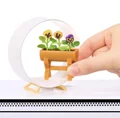 Pansy Potted Plant