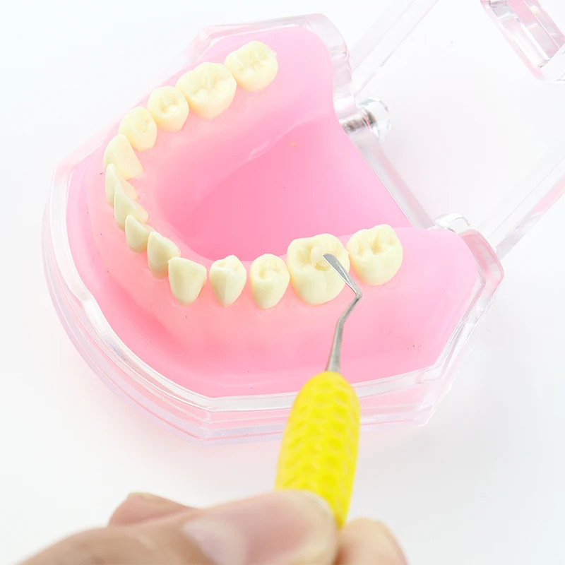 

Dental Composite Resin Filling Spatula