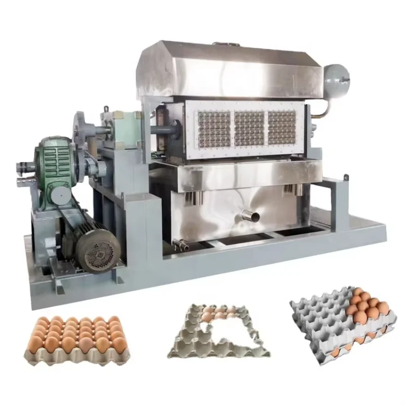 China Manufacturer Pulp Moulding Egg Tray Making Machine Fully Automatic Online Drier Egg Tray Making Production Line for Mexico