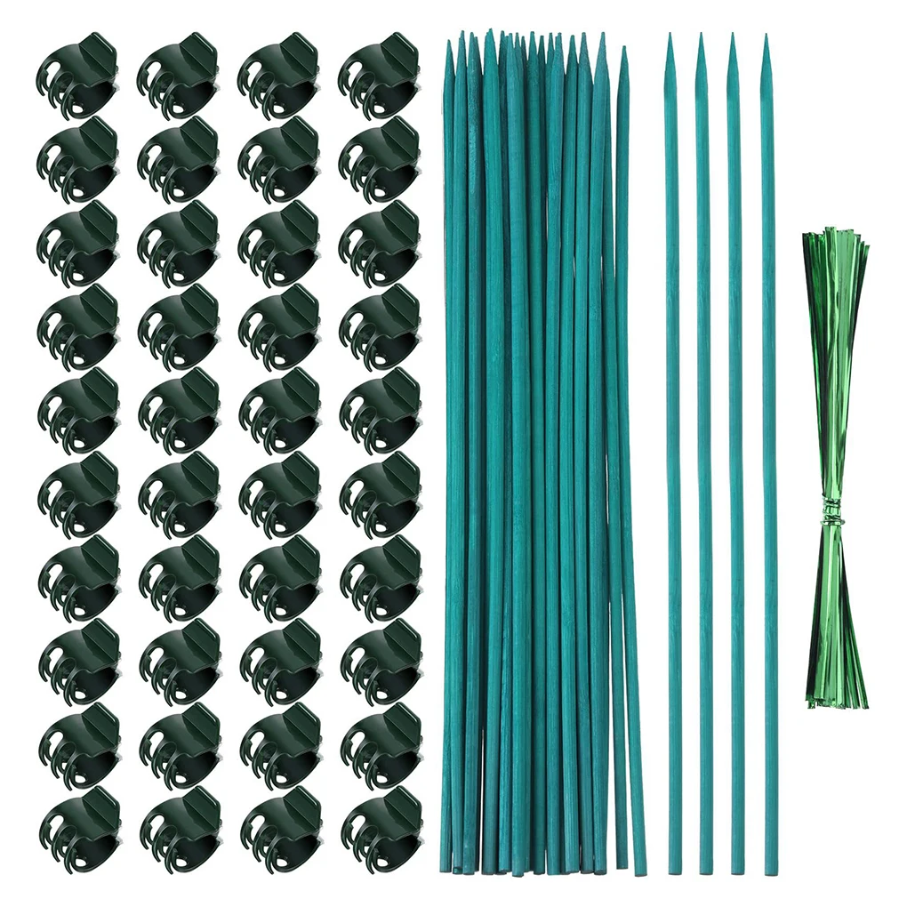

Green Sufficient Quantity Reliable Orchid Sticks For Stable Plant Growth Plastic Tree Trunk Guard Green Orchid support rod Acces
