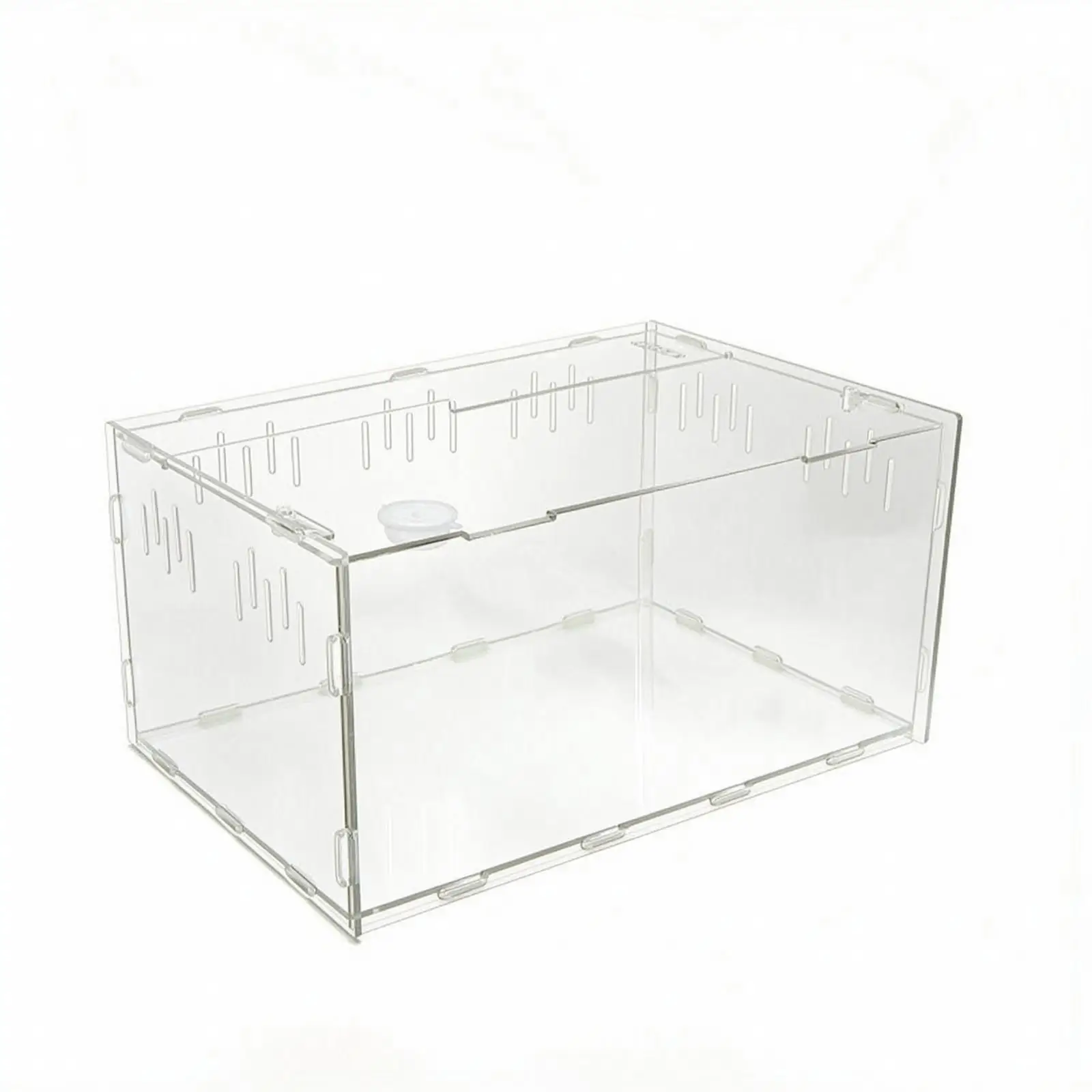 Compact Acrylic Reptile Enclosure - Top Lid with Rotating Lock Buckle