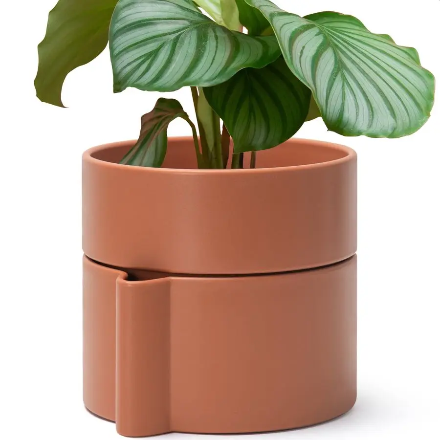

Inch SelfWatering Planter Pot with Terracotta Insert, Deep Water Reservoir, and CeramicAlike BPAFree Plastic Planter Pot for Pla