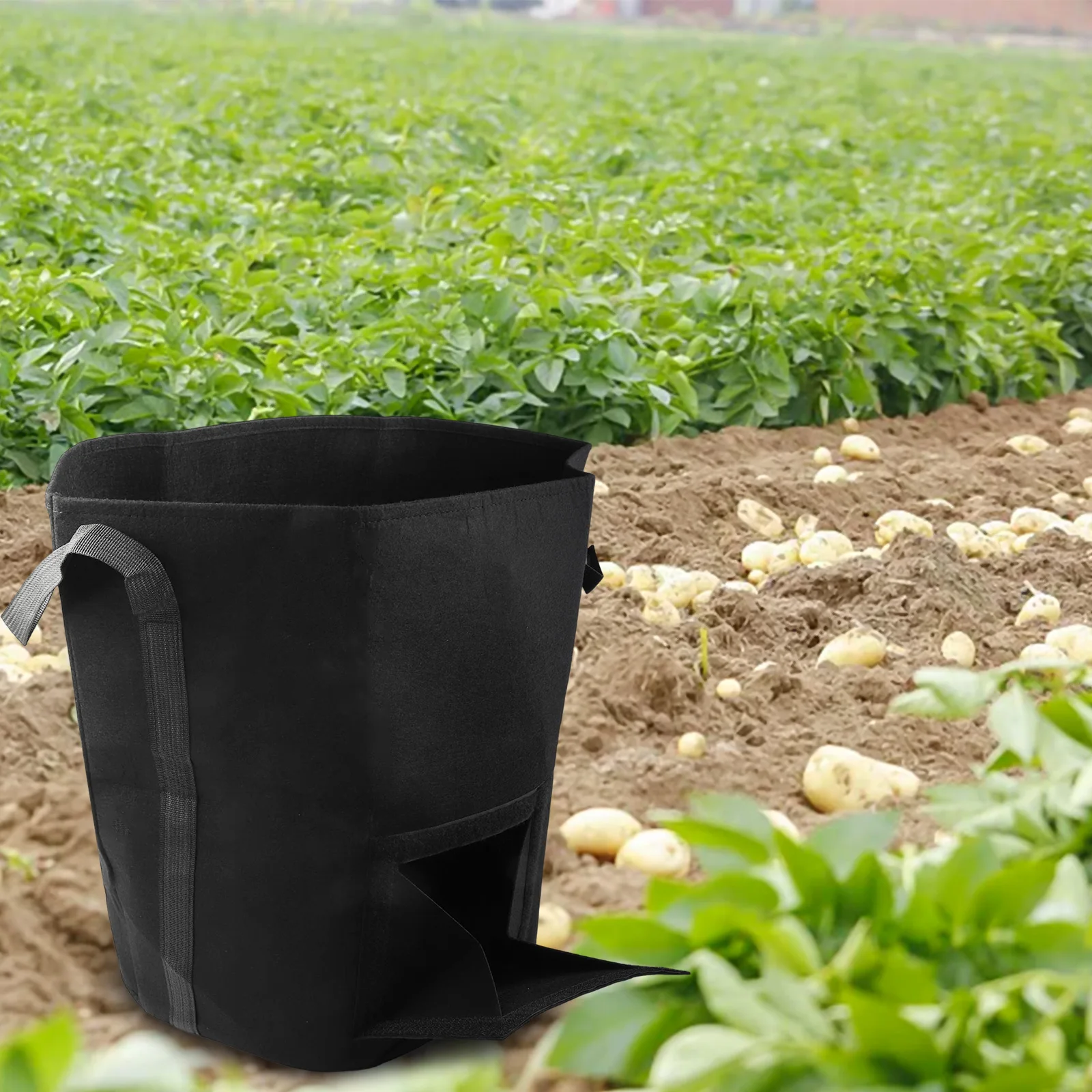 Breathable Gardening Bags Harvest Window Non-Woven Plant Pots Excellent Drainage System Heavy Lifting Capacity Urban Gardening