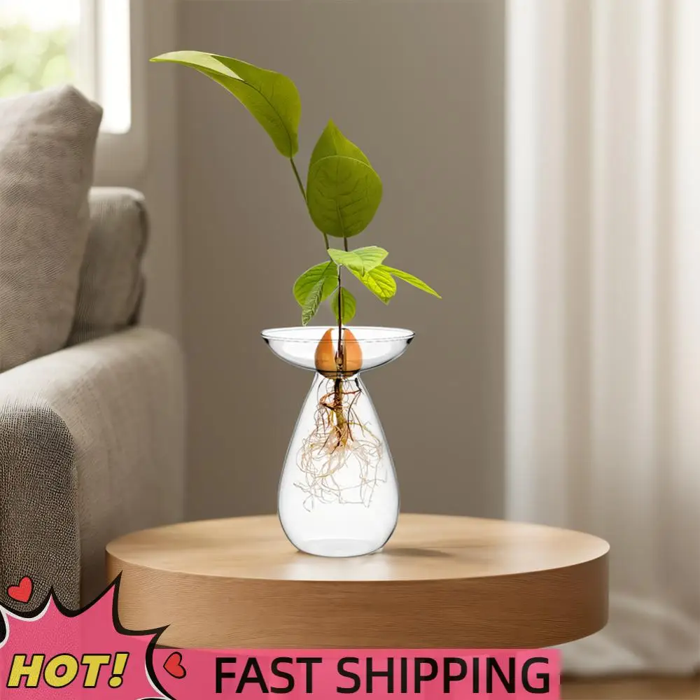 Avocado Seed Starter Vase Transparent Glass Avocado Tree Flower Vase Glass Planter Gardening Lovers Home Decor