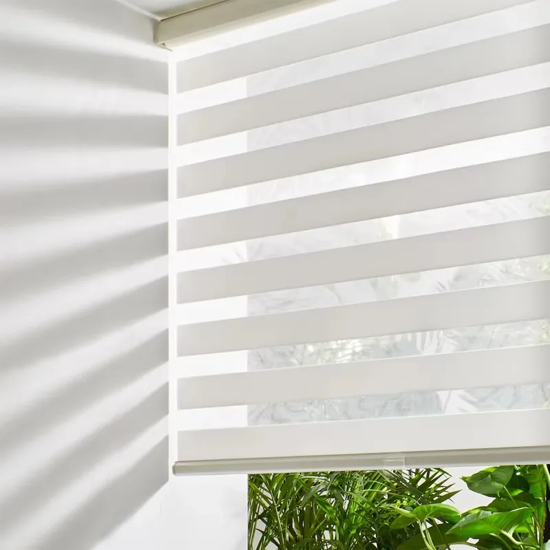 Light Filtering Dual Layer Zebra Blinds, Cordless Roller Sheer Shades, Privacy Protection Child Safe Window Shades for Home