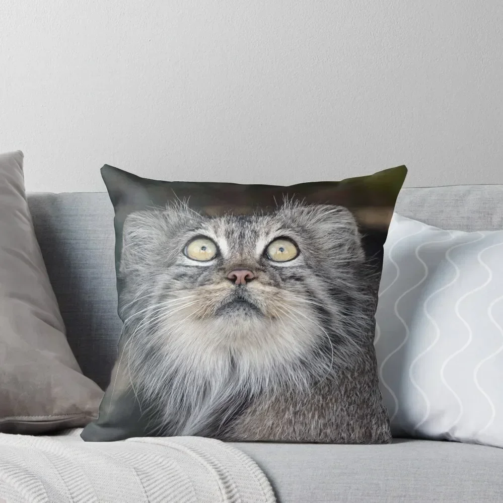 

Pallas Cat Throw Pillow pillow pillowcase Decorative Cushions For Luxury Sofa Decorative Cushion autumn pillowcase pillow