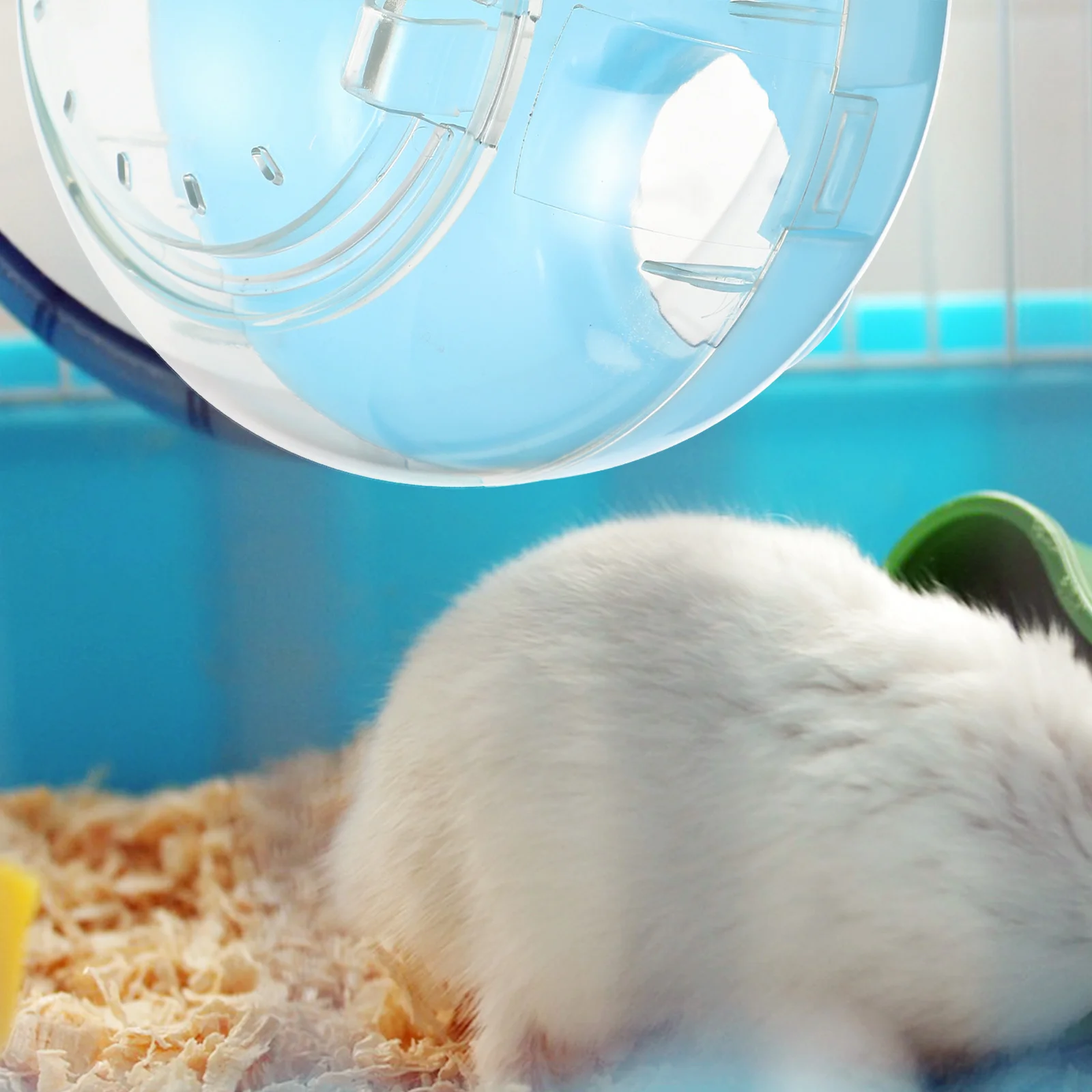 الهامستر نفق الرمال حمام الحاويات البلاستيك الحمام الخارجي للحيوانات الأليفة الصغيرة الهامستر حوض الاستحمام قفص العرض صندوق دش الملحقات #4