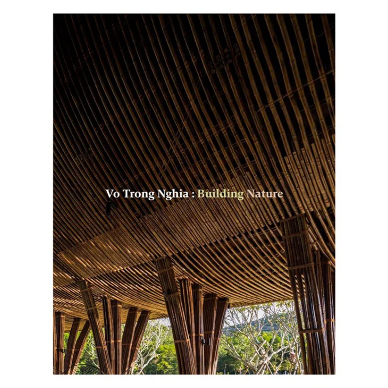 

Vo Trong Nghia Building Nature Vo Trong Nghia And Philip Jodidio Thames And Hudson Ltd 9780500343593 Book