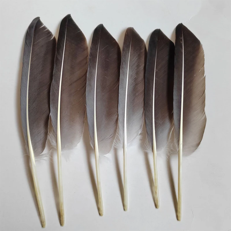 Feathers decoration! Veren! 100Pcs/lot! 22-28cm long Natural Goose Quill feathers,Loose Quality Goose Wing Feathers