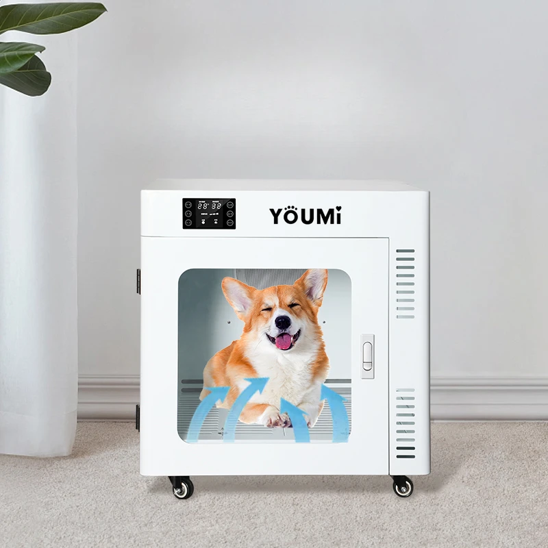 Smart Pet Drying Box Automatic Dog Dryer Cat Bathing Blowing Medium Dogs Commercial Gatos Accesorios Pet Products