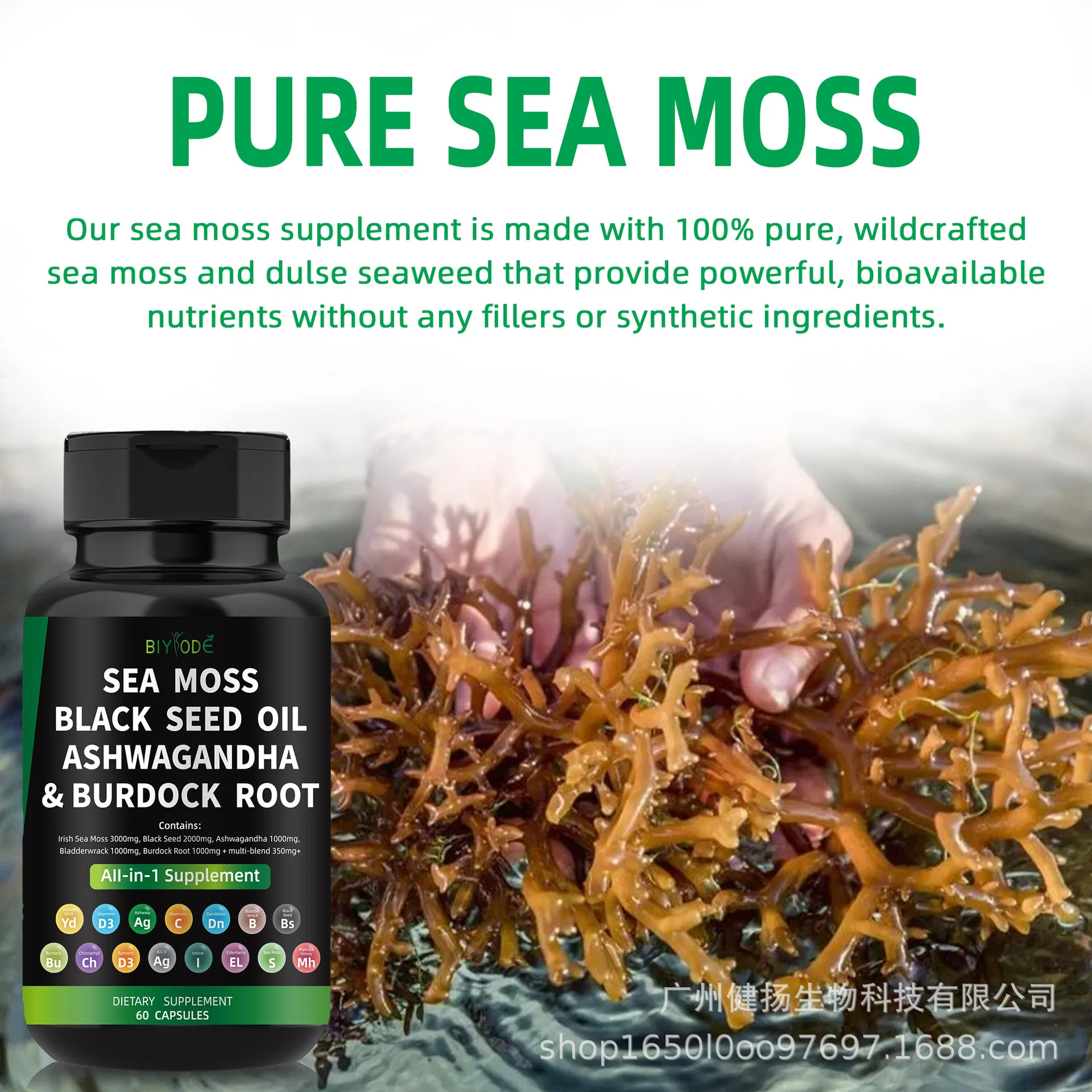 1 bottle of 60 seaweed capsules to enhance immunity and aid in intestinal digestion · seaweed capsules seaweed advanced