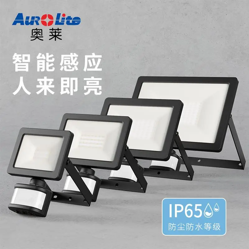 LED-Induktionsfluter, wasserdichtes Gartensensorlicht