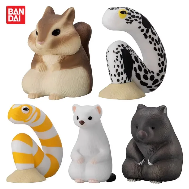 

Bandai Original 5Pcs Gashapon シマリス まちぼうけ 14 Toys For Kids Gift Collectible Model Ornaments