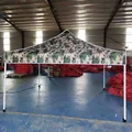 only tent top