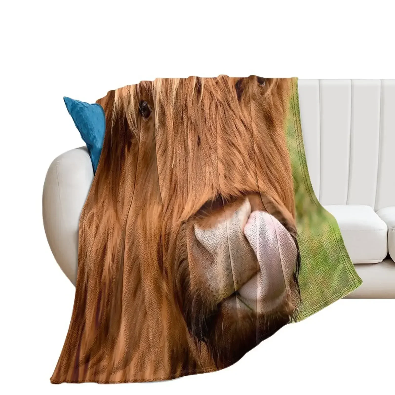 

Tasty, the highland cow Throw Blanket For Sofa Thin Thin Travel Furrys Blankets