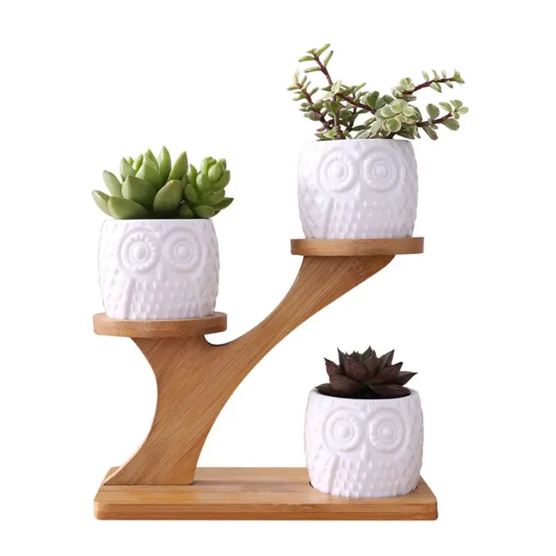 Cute Owl Pot Succulent Cactus Planter Flowerpot Set With Bamboo Shelf Tray Decor