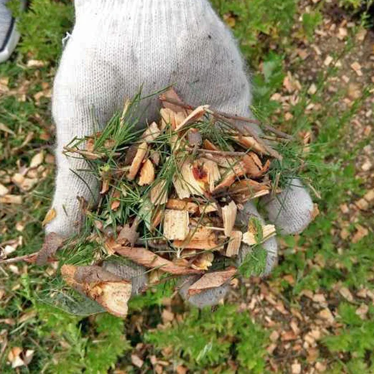 Déchiqueteuse de bois Jane, brosse, broyeur de bois, affiliation Der