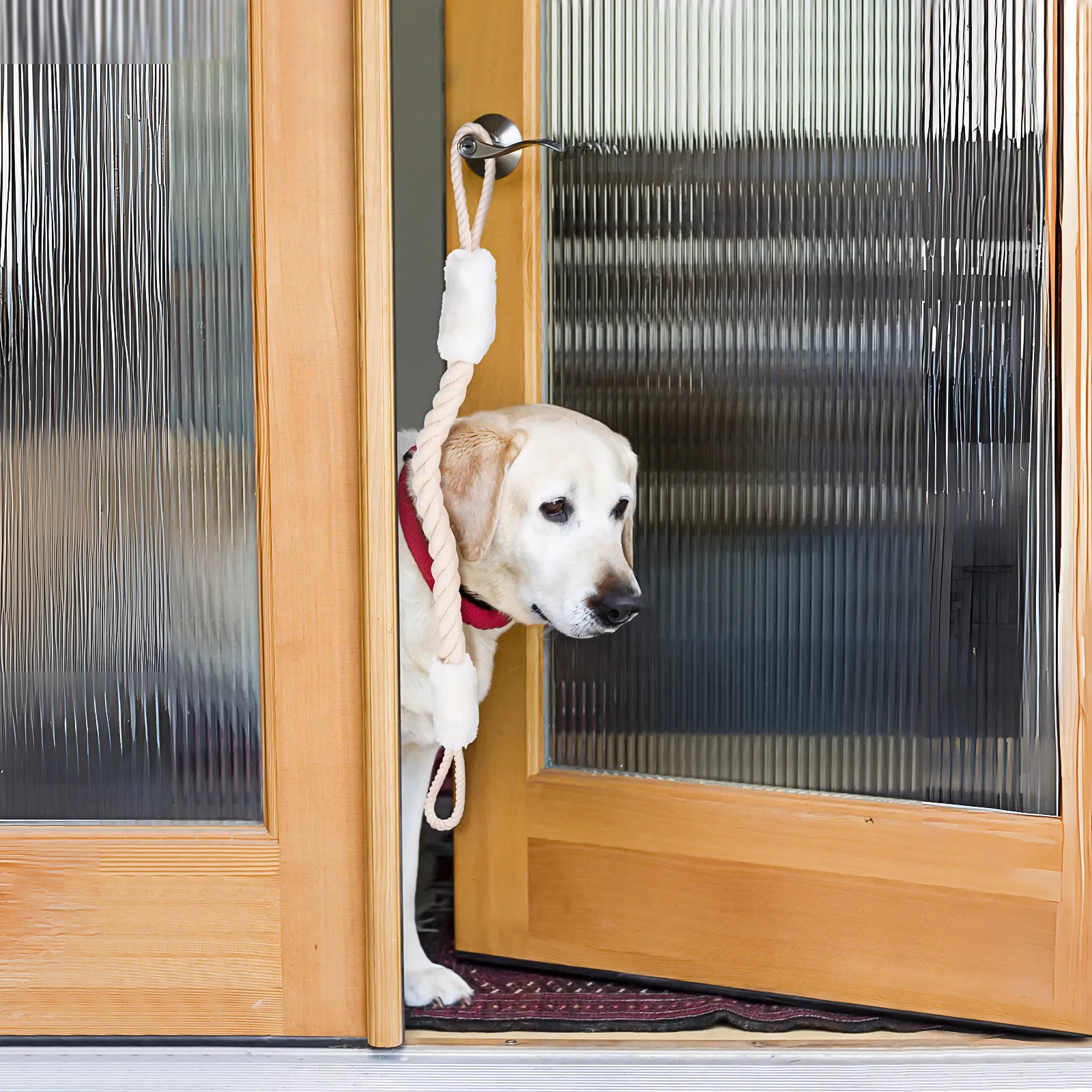 

Safety Door Strap Latch Finger Pinch Guard Door Slam Stopper Rope for Pets Cats Dogs Cotton Polyester Material