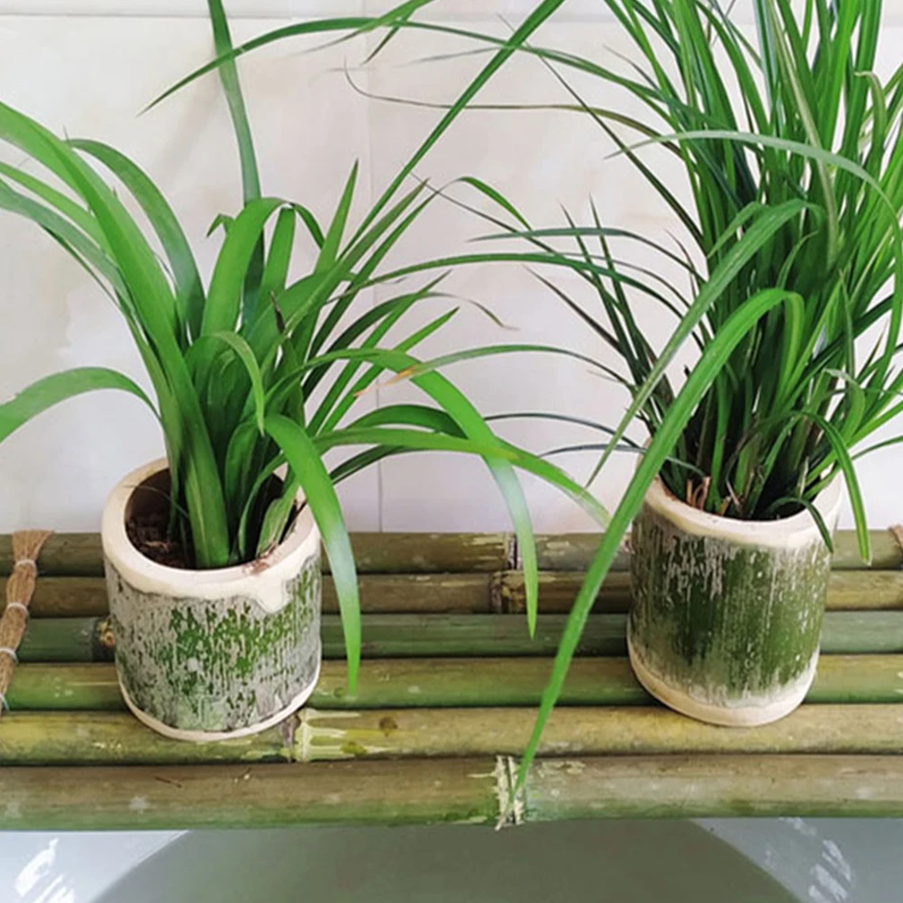 

Bamboo Raft Decoration 30x10cm Fish Tank Aquarium Bamboo Board Sturdy Water Fountain Support DIY Accessories Mini Model
