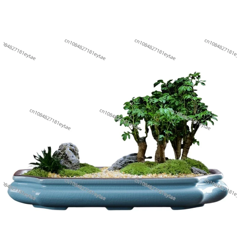 Chinese purple sandy ceramics, tabletop large-diameter glazed flower pot, classical succulent landscape bonsai