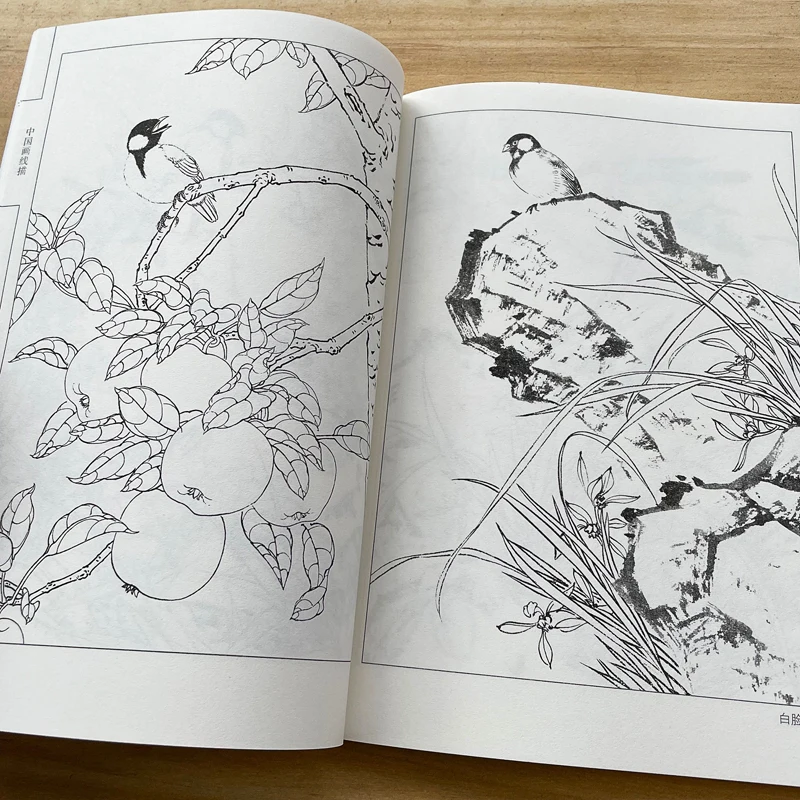 Chinese Line Drawing Manuscript Book Meticulous Painting Line Draft Set Bird Fruit Vegetable Martial Art Character Picture Album