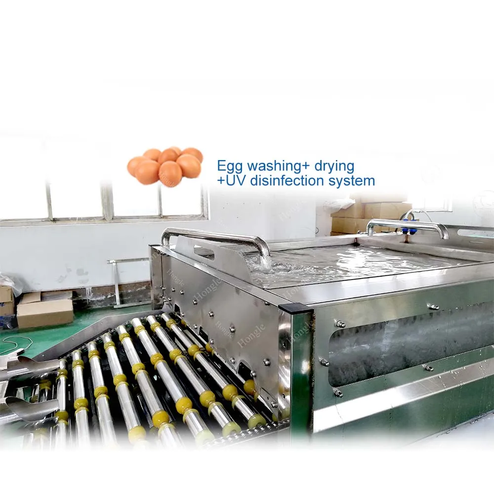 فرشاة تجارية من الفولاذ المقاوم للصدأ، مجفف غسيل البيض، غسالة بيض أوتوماتيكية #5