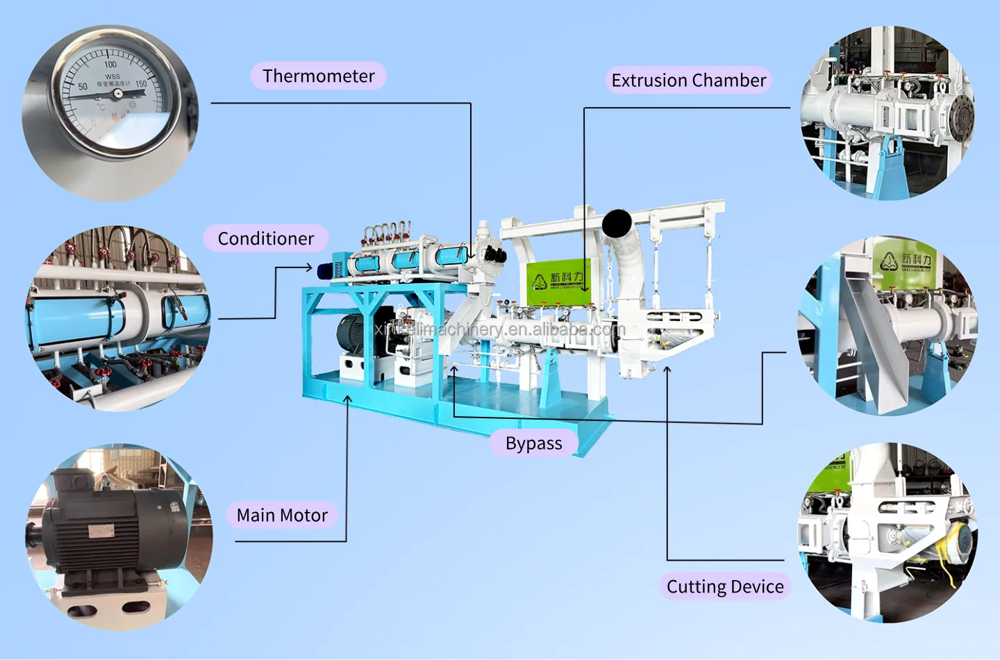 Pet Food Floating Fish Feed Pellet Production Processing Making Machine Big Capacity Commercial Multifunction