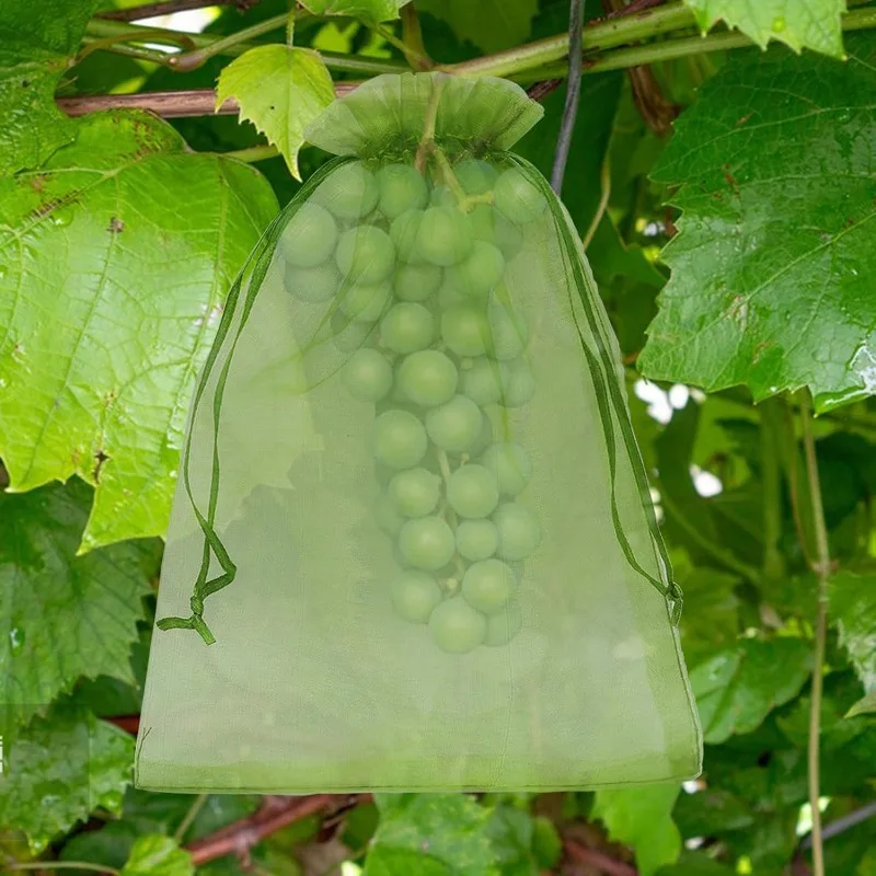 Wholesale Fruit Protection Bags Anti-Birds Plant Bag Strawberry Grape Fruit Grow Mesh Bags Vegetable Netting Covers Garden Tools