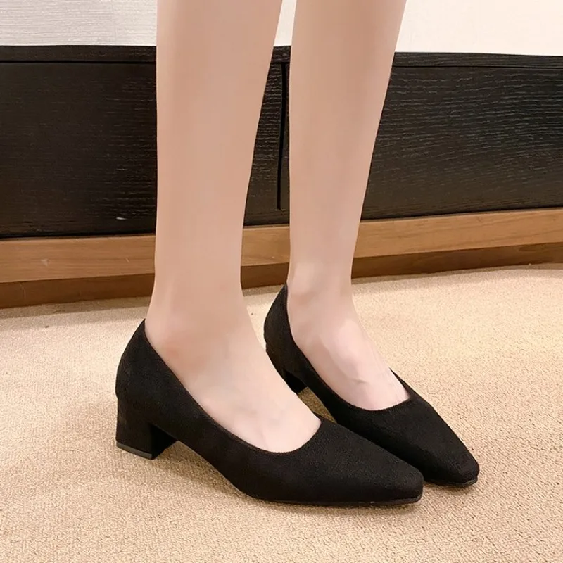 Women's Chunky Heel Shoes Spring Autumn New Style Velvet Surface Pointed Toe Middle Heel Single Shoes Versatile for Women