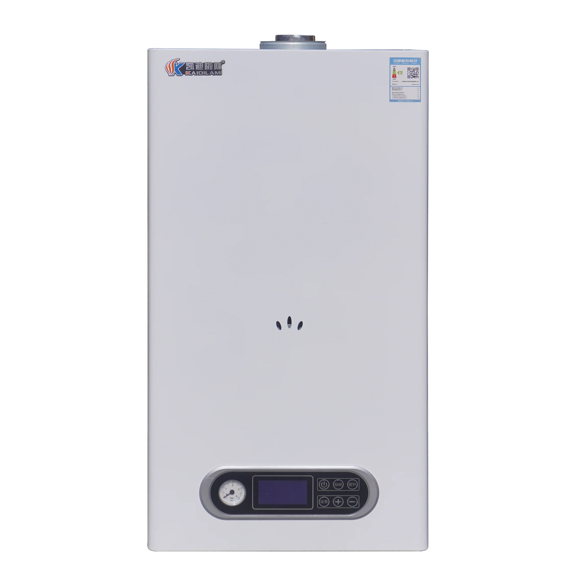 24KW Electric & Natural Gas Wall-Mounted Copper Heat Exchanger Tankless Water Heater With 12L Capacity For Household Use
