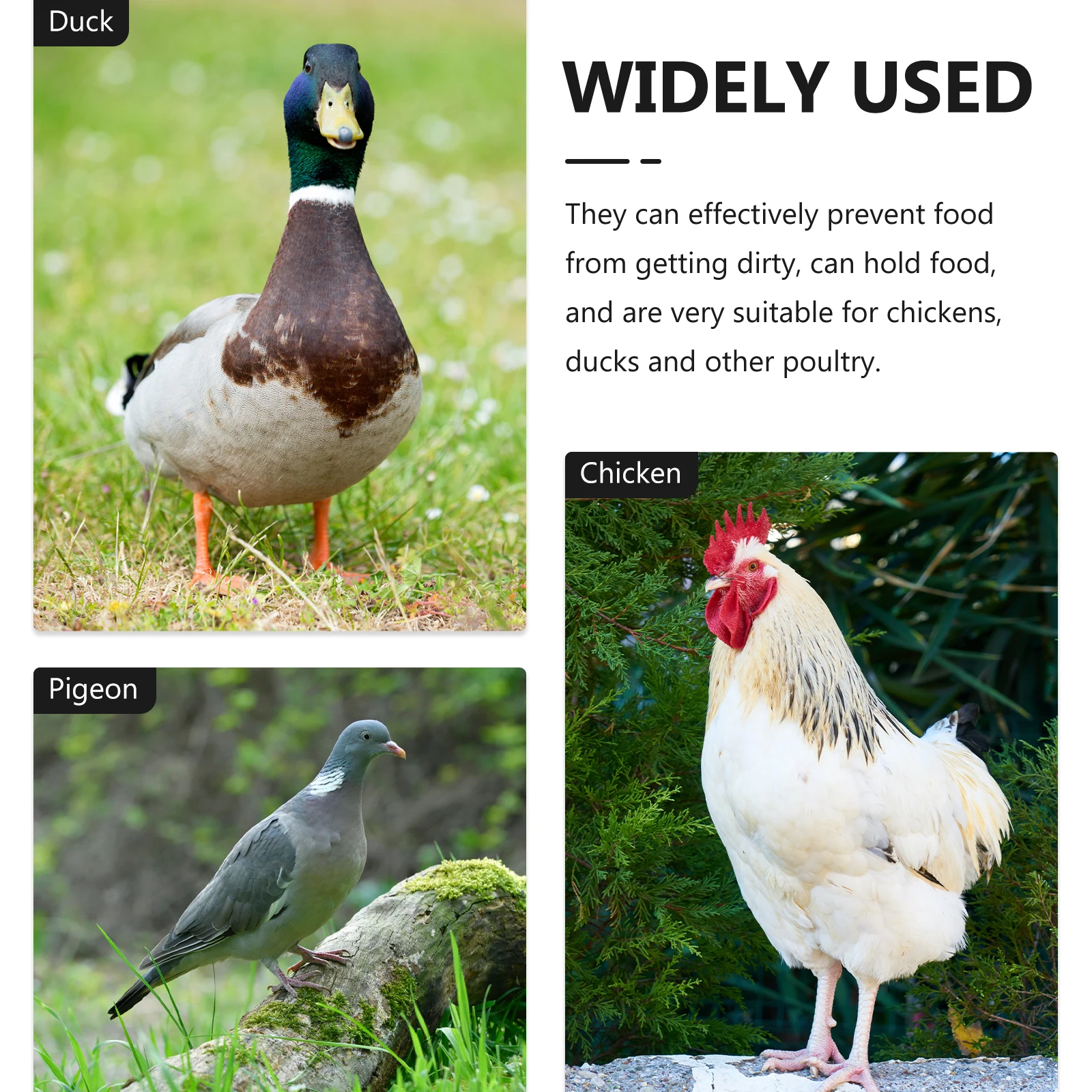 

2pcs Chicken Cage Feeder Food Tank Anti-Drop Bird Feeder Poultry Feeders Plastic Troughs Easy Clean Strong Durable Anti-Splash