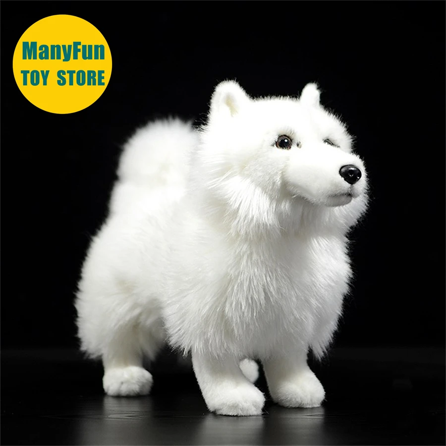 

Самоедская собака, плюшевая игрушка, реалистичная собака Самое, плюшевая игрушка, реалистичная белая собака, мягкая игрушка, имитация мягкой куклы, подарки для детей