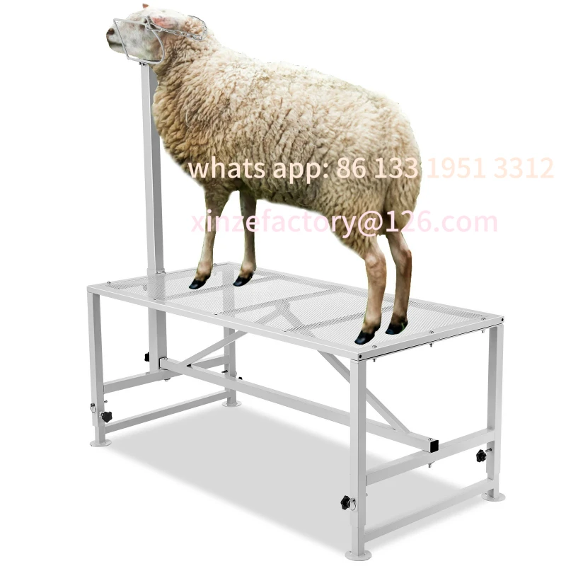 

Customizable Goat Sheep Stand 51x23in Livestock Stand Metal Livestock Milking and Shearing Stand 21" to 33" Adjustable