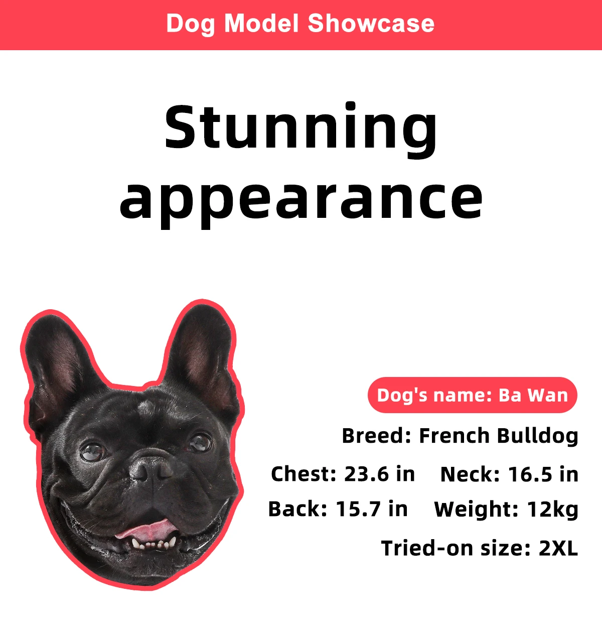 Winterhundekleidung, warmer Hundemantel, beidseitig tragbar, PP-Baumwolle, Outdoor-Welpenkleidung, Jacke, Chihuahua, French Bulldog Kleidung – Detail 11