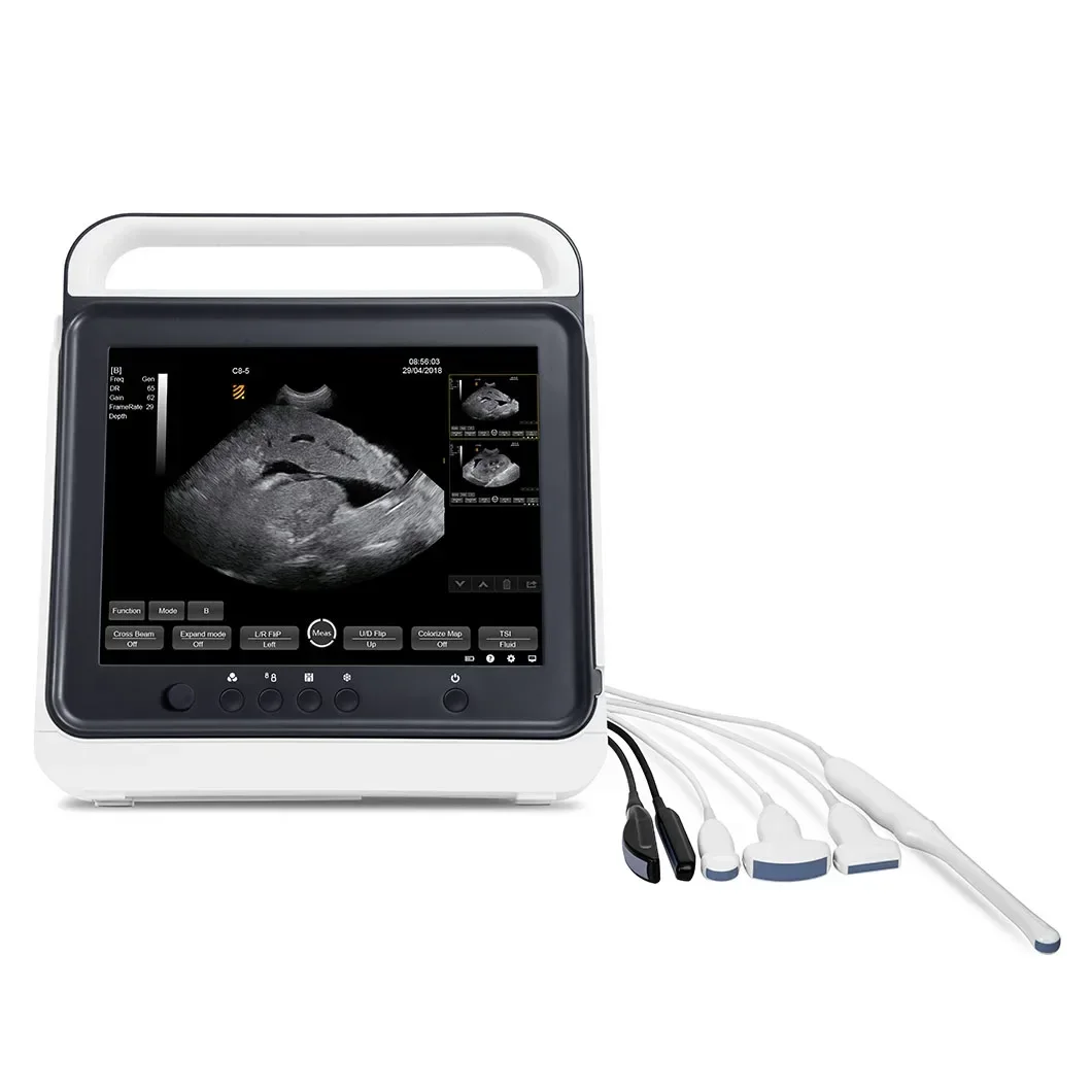 Portable Pet Touch Screen B/W dog canine ultrasound machine for animal hospital