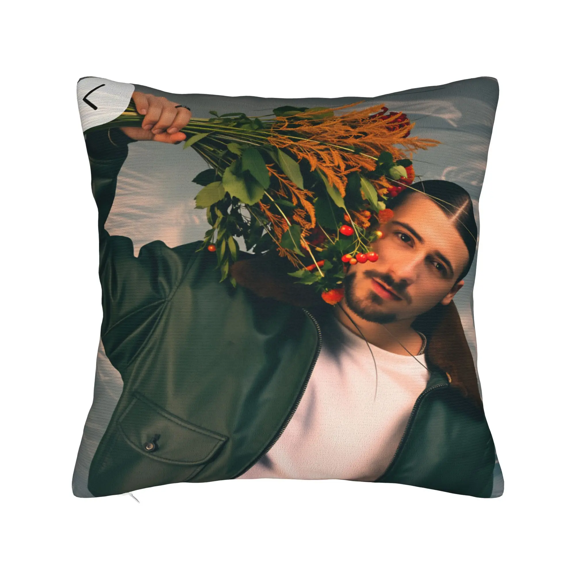 Pierre Edgar French Singer Pillow Cover  Funny Pillow Case For Living Room Sofa Custom Pillowcases Gift