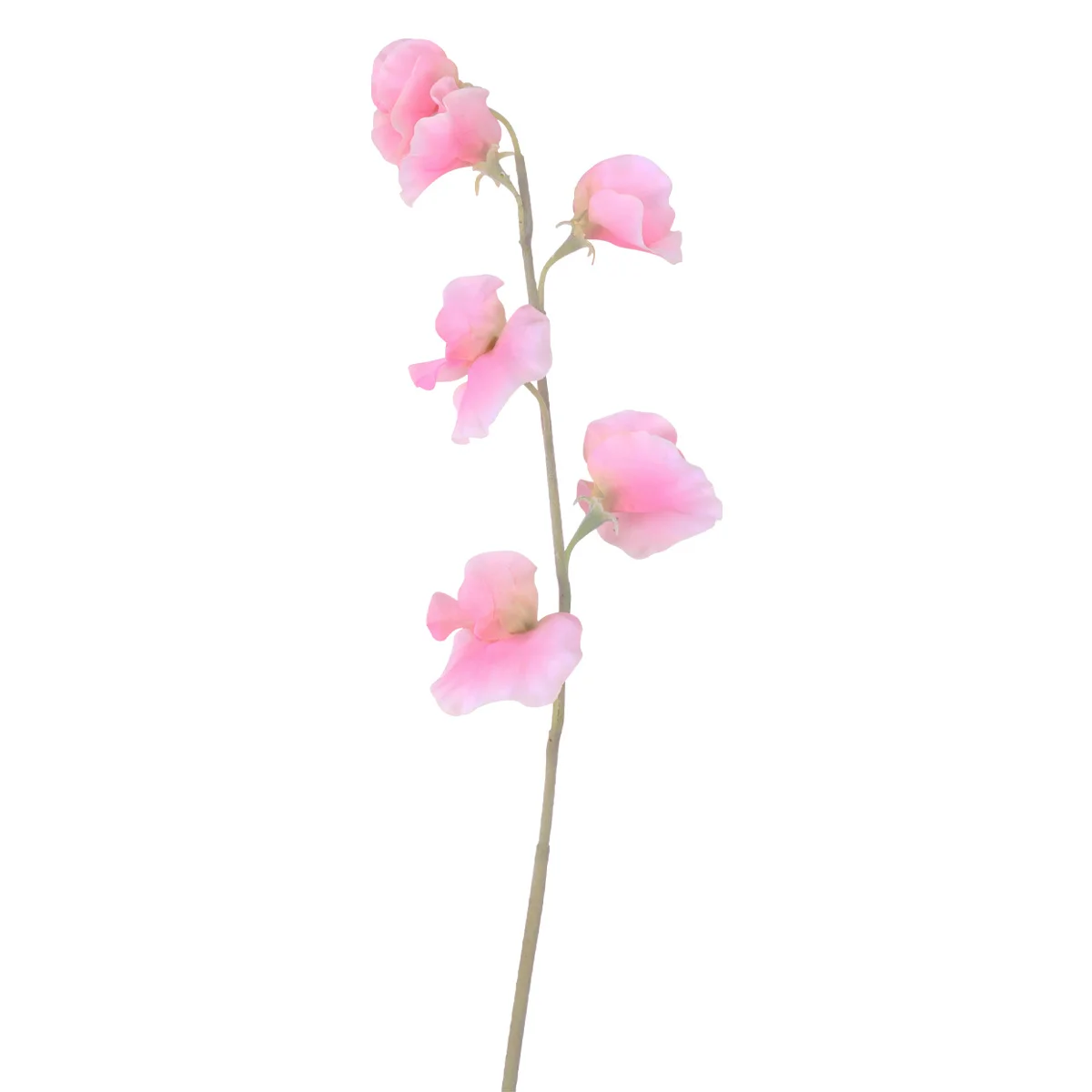 

Simulation Pea Blossom Pink Decorative Fake Flower Ornament Handmade Rustic Farmhouse Home Wedding Party Decoration