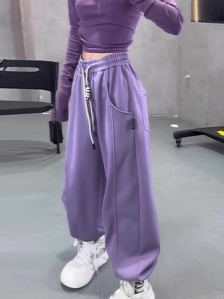 Retro americano fitn roxo fce-forrado cintura elástica solta calças esportivas femininas outono inverno longo perna larga