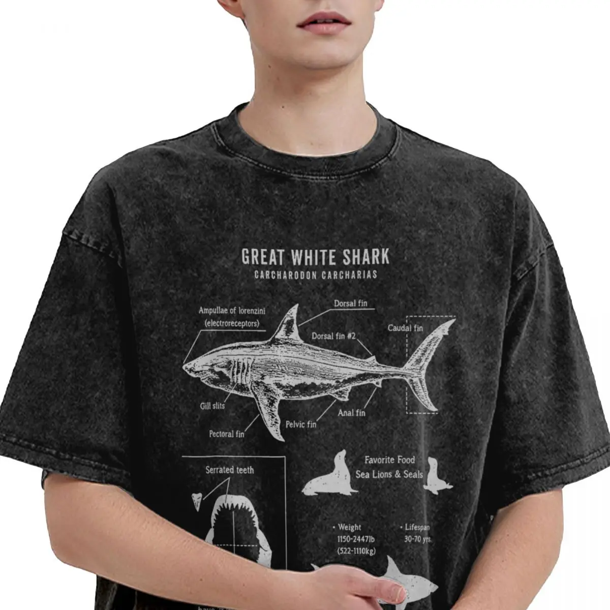 Men Women T-Shirt Great White Shark Anatomy Washed T-Shirts Trendy Cool Marine Biologist Summer Tee Shirt Loose Cotton Tops